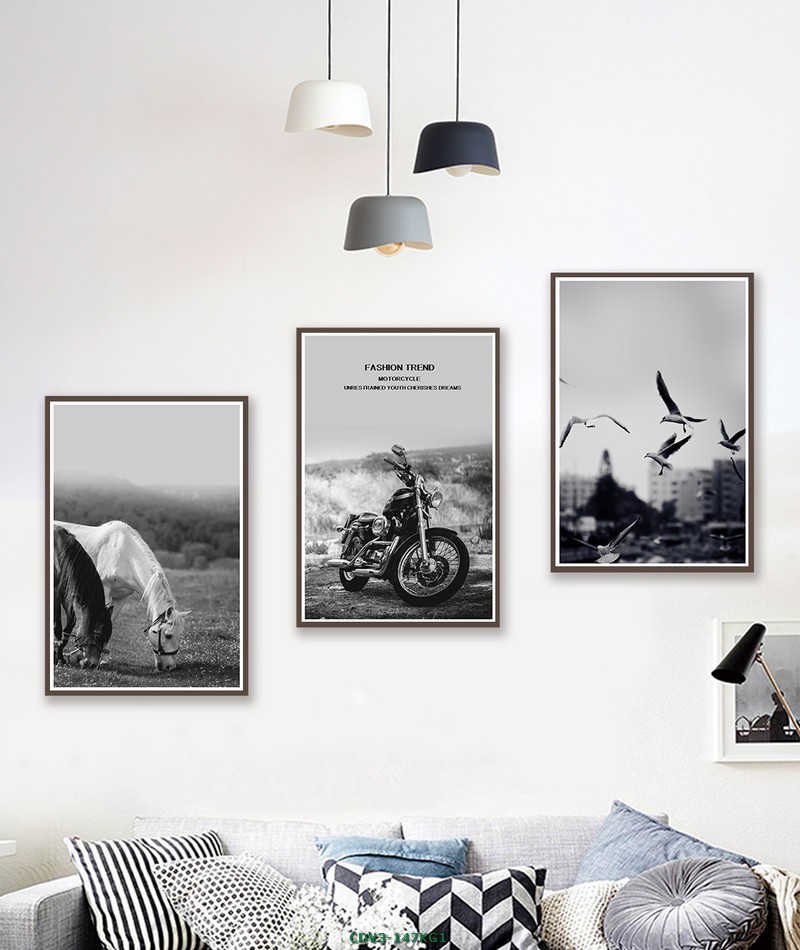 Động vật CDV3-147KG1